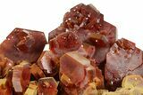 Deep Red Vanadinite Crystal Cluster - Huge Crystals! #368118-1